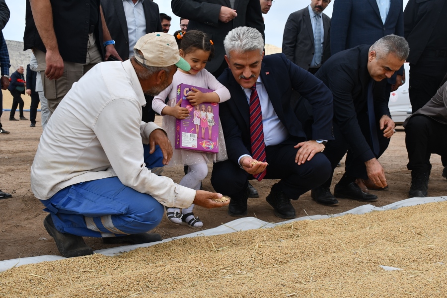 VALİMİZ SAYIN MEHMET MAKAS, ÇELTİK HASADINI BAŞLATTI